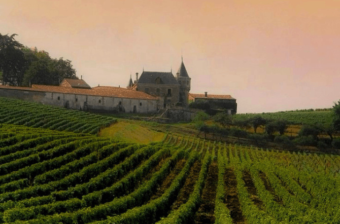 Burgundy landscape
